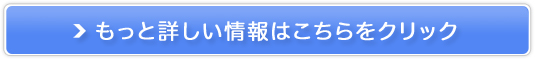[ƒzňIɃLbVobNIyhi-ho WiMAX2+ MKz̔TCg